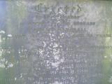 image of grave number 49236